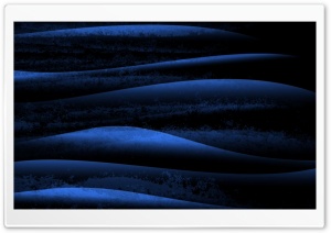 Dolphins at Midnight Ultra HD Wallpaper for 4K UHD Widescreen desktop, tablet & smartphone