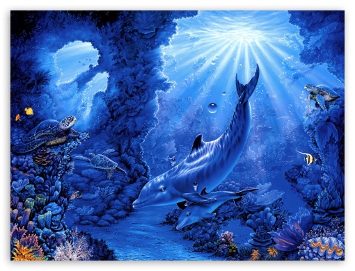 Dolphins Image UltraHD Wallpaper for Fullscreen 4:3 ;