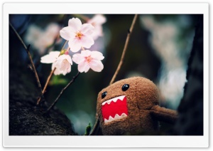 Domo Kun And Tree Blossoms Ultra HD Wallpaper for 4K UHD Widescreen desktop, tablet & smartphone