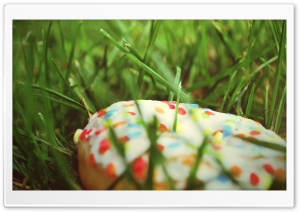 Donut In The Grass Ultra HD Wallpaper for 4K UHD Widescreen desktop, tablet & smartphone