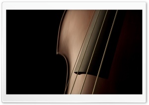 Double Bass Close Up Ultra HD Wallpaper for 4K UHD Widescreen desktop, tablet & smartphone