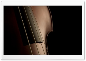 Double Bass Strings Ultra HD Wallpaper for 4K UHD Widescreen desktop, tablet & smartphone