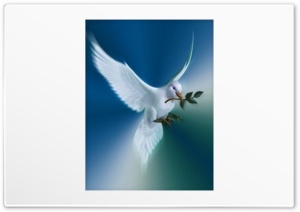 Dove Of Peace 4K UHD Wallpaper for Widescreen and UltraWide Desktop, UltraHD TV, Smartphone, Tablet