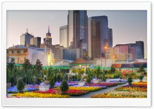 Downtown Dallas From The Flower Market Ultra HD Wallpaper for 4K UHD Widescreen desktop, tablet & smartphone