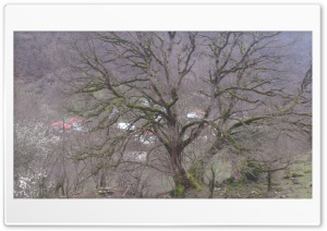 Dowran-Spring-Iran 4K UHD Wallpaper for Widescreen and UltraWide Desktop, UltraHD TV, Smartphone, Tablet