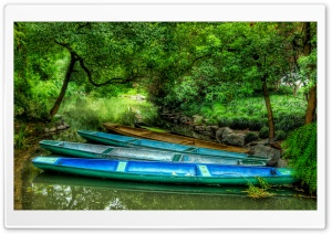Dragon Boats Ultra HD Wallpaper for 4K UHD Widescreen desktop, tablet & smartphone