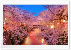 Dreamlike Spring Ultra HD Wallpaper for 4K UHD Widescreen desktop, tablet & smartphone