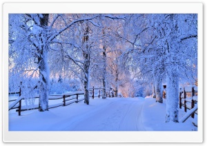 Dreamy Snowy Country Road Ultra HD Wallpaper for 4K UHD Widescreen Desktop, Lockscreen, Screensaver, TV, Tablet, Smartphone