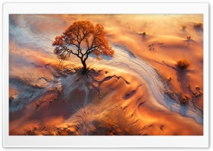 Dried Rivers, Tree, Dryland, Digital Art 4K UHD Wallpaper for Widescreen and UltraWide Desktop, UltraHD TV, Smartphone, Tablet