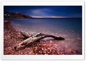 Driftwood Ultra HD Wallpaper for 4K UHD Widescreen desktop, tablet & smartphone