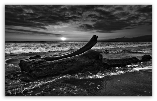 Driftwood Beach Monochrome UltraHD Wallpaper for Wide 16:10 5:3 Widescreen WHXGA WQXGA WUXGA WXGA WGA ; 8K UHD TV 16:9 Ultra High Definition 2160p 1440p 1080p 900p 720p ; Standard 4:3 5:4 3:2 Fullscreen UXGA XGA SVGA QSXGA SXGA DVGA HVGA HQVGA ( Apple PowerBook G4 iPhone 4 3G 3GS iPod Touch ) ; Tablet 1:1 ; iPad 1/2/Mini ; Mobile 4:3 5:3 3:2 16:9 5:4 - UXGA XGA SVGA WGA DVGA HVGA HQVGA ( Apple PowerBook G4 iPhone 4 3G 3GS iPod Touch ) 2160p 1440p 1080p 900p 720p QSXGA SXGA ;