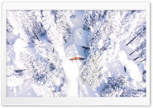 Drone Photography Winter Snow Forest Landscape Ultra HD Wallpaper for 4K UHD Widescreen desktop, tablet & smartphone