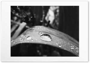 Drop 4K UHD Wallpaper for Widescreen and UltraWide Desktop, UltraHD TV, Smartphone, Tablet