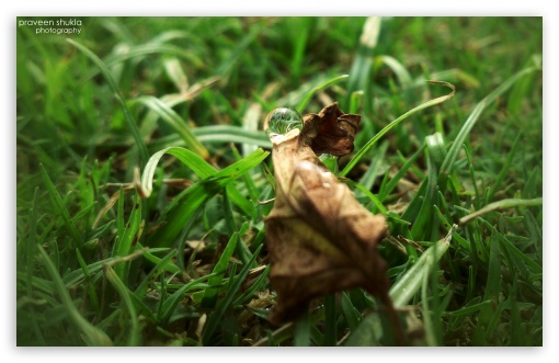 drop UltraHD Wallpaper for Widescreen 16:10 ;