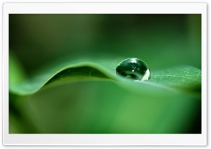 Drop Of Water Ultra HD Wallpaper for 4K UHD Widescreen desktop, tablet & smartphone