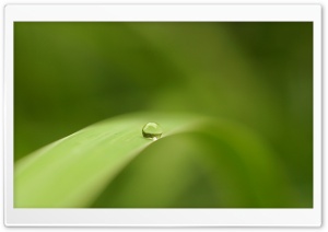 Drop Of Water 8 Ultra HD Wallpaper for 4K UHD Widescreen desktop, tablet & smartphone