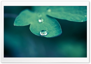 Drop Of Water, Macro Ultra HD Wallpaper for 4K UHD Widescreen desktop, tablet & smartphone