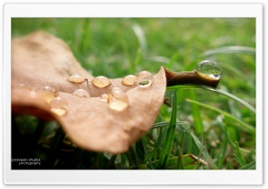 drop water Ultra HD Wallpaper for 4K UHD Widescreen Desktop, Lockscreen, Screensaver, TV, Tablet, Smartphone