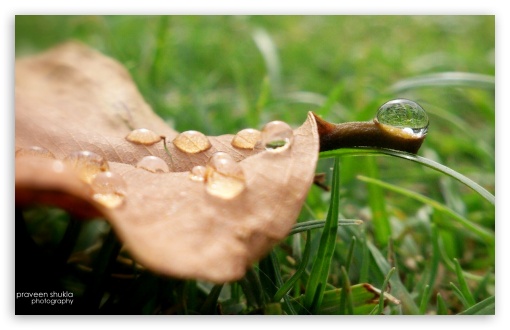 drop water UltraHD Wallpaper for Widescreen 16:10 ;