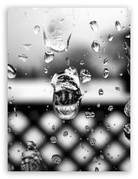 Drops UltraHD Wallpaper for Mobile 4:3 - UXGA XGA SVGA ;