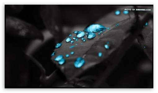 Drops UltraHD Wallpaper for HD 16:9 ;