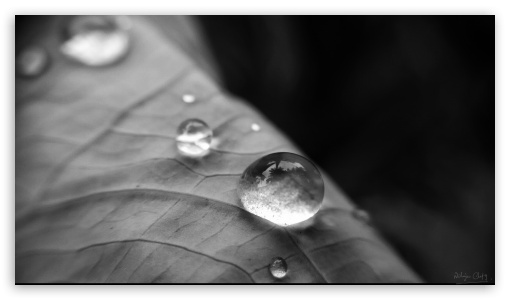 Drops UltraHD Wallpaper for UHD 16:9 ; HD 16:9 ;