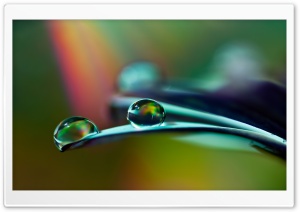 Drops Macro Ultra HD Wallpaper for 4K UHD Widescreen desktop, tablet & smartphone