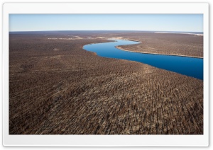 Dry Forests From Altitude Ultra HD Wallpaper for 4K UHD Widescreen Desktop, Lockscreen, Screensaver, TV, Tablet, Smartphone