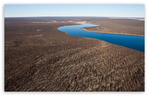 Dry Forests From Altitude UltraHD Wallpaper for HD 16:9 ; Widescreen 16:10 5:3 ;