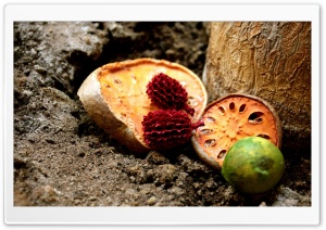 Dry Fruits 4K UHD Wallpaper for Widescreen and UltraWide Desktop, UltraHD TV, Smartphone, Tablet