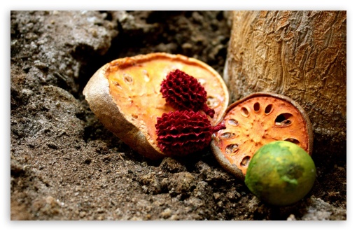 Dry Fruits UltraHD Wallpaper for HD 16:9 ; Widescreen 16:10 5:3 ; Fullscreen 4:3 5:4 3:2 ; Tablet 1:1 ;
