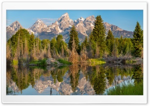 Dry Trees Little Lake Mountains Ultra HD Wallpaper for 4K UHD Widescreen desktop, tablet & smartphone