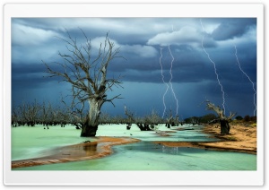 Dry Trees Under Lightning Ultra HD Wallpaper for 4K UHD Widescreen Desktop, Lockscreen, Screensaver, TV, Tablet, Smartphone