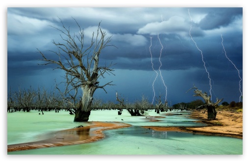 Dry Trees Under Lightning UltraHD Wallpaper for HD 16:9 ; Widescreen 16:10 5:3 ; Fullscreen 4:3 5:4 3:2 ; Tablet 1:1 ;