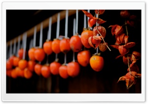 Drying Persimmons (Tsumago) Ultra HD Wallpaper for 4K UHD Widescreen desktop, tablet & smartphone