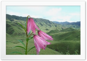 Dziiko Valley Mao Manipur India 4K UHD Wallpaper for Widescreen and UltraWide Desktop, UltraHD TV, Smartphone, Tablet