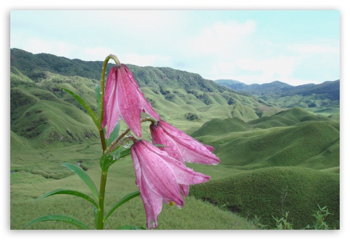Dziiko Valley Mao Manipur India UltraHD Wallpaper for Fullscreen 3:2 ;