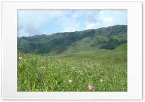 Dziiko Valley Mao Manipur India 4K UHD Wallpaper for Widescreen and UltraWide Desktop, UltraHD TV, Smartphone, Tablet
