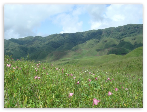 Dziiko Valley Mao Manipur India UltraHD Wallpaper for Fullscreen 4:3 ;
