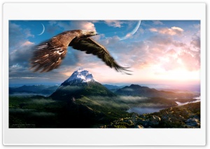 Eagle Ultra HD Wallpaper for 4K UHD Widescreen desktop, tablet & smartphone