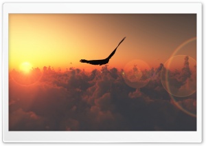 Eagle Flying In The Sky Ultra HD Wallpaper for 4K UHD Widescreen desktop, tablet & smartphone