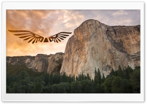 Eagle Yosemite Ultra HD Wallpaper for 4K UHD Widescreen desktop, tablet & smartphone