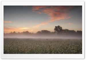 Early Morning Fog Ultra HD Wallpaper for 4K UHD Widescreen desktop, tablet & smartphone