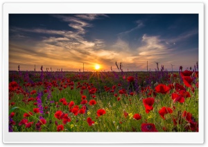 Early morning in Bulgaria Ultra HD Wallpaper for 4K UHD Widescreen desktop, tablet & smartphone