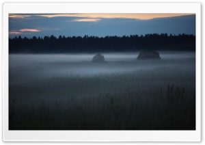 Early Morning Mist Ultra HD Wallpaper for 4K UHD Widescreen desktop, tablet & smartphone