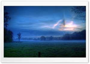 Early Morning Mist Ultra HD Wallpaper for 4K UHD Widescreen desktop, tablet & smartphone