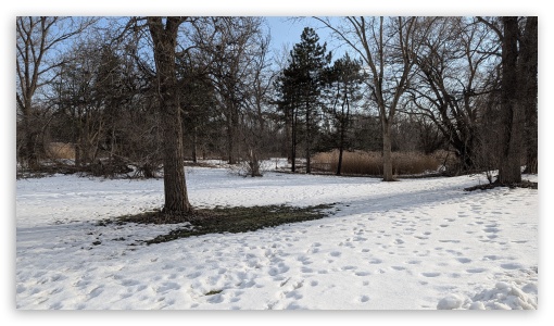 Early Spring UltraHD Wallpaper for UHD 16:9 ; HD 16:9 ;