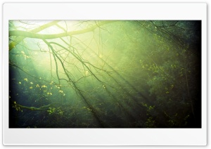 Earth   Sunbeam 8 Ultra HD Wallpaper for 4K UHD Widescreen desktop, tablet & smartphone