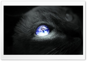 Earth Cat Eye Ultra HD Wallpaper for 4K UHD Widescreen desktop, tablet & smartphone