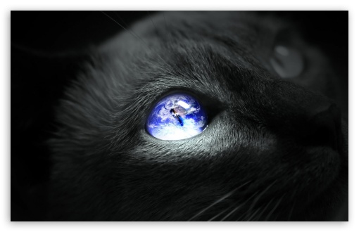 Earth Cat Eye UltraHD Wallpaper for HD 16:9 ; Widescreen 16:10 5:3 ; Fullscreen 3:2 ;